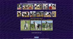 Desktop Screenshot of gypsyhorsesintexas.com
